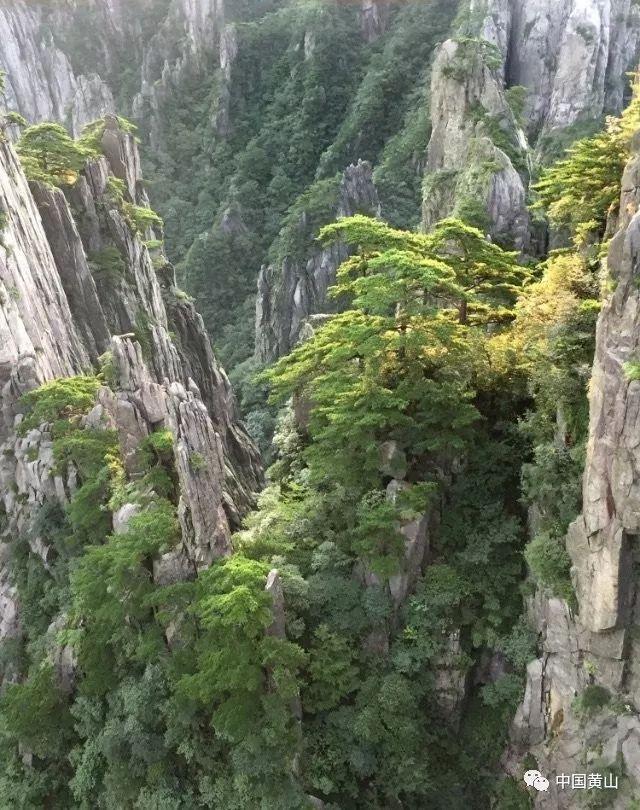 废弃精神病院逃脱
